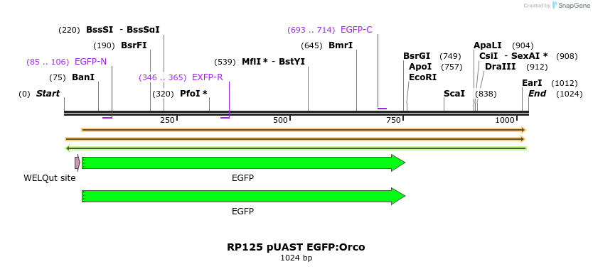 91686_map