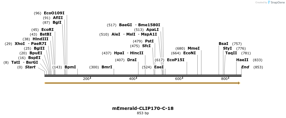 91690_map