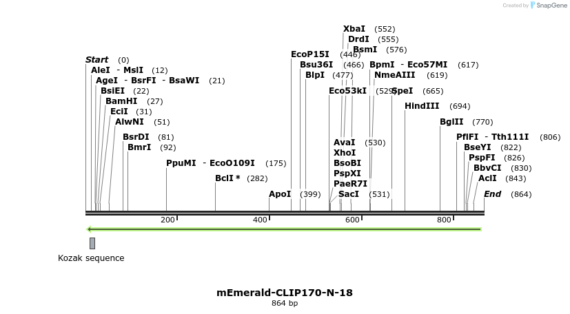 91691_map