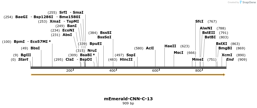 91693_map