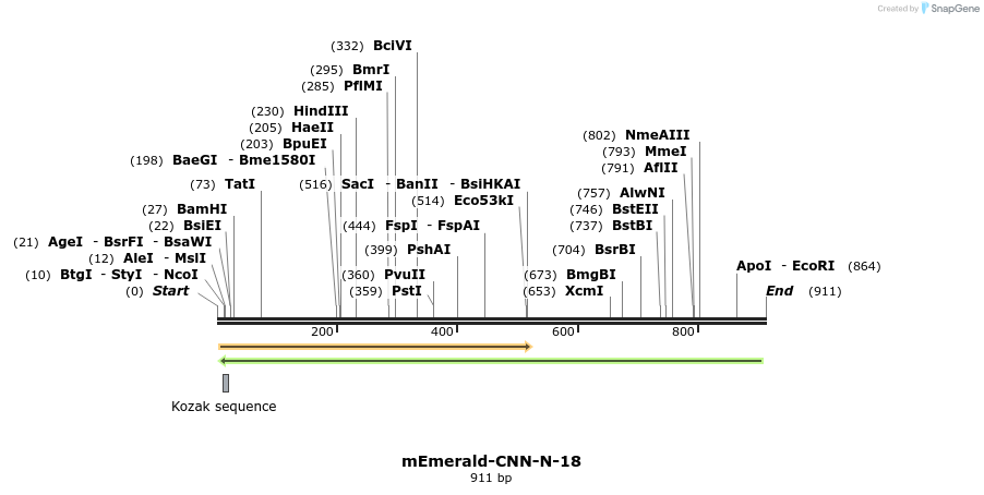 91694_map