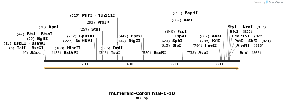 91697_map