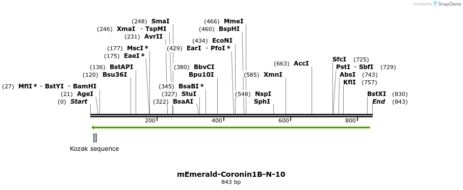 91698_map