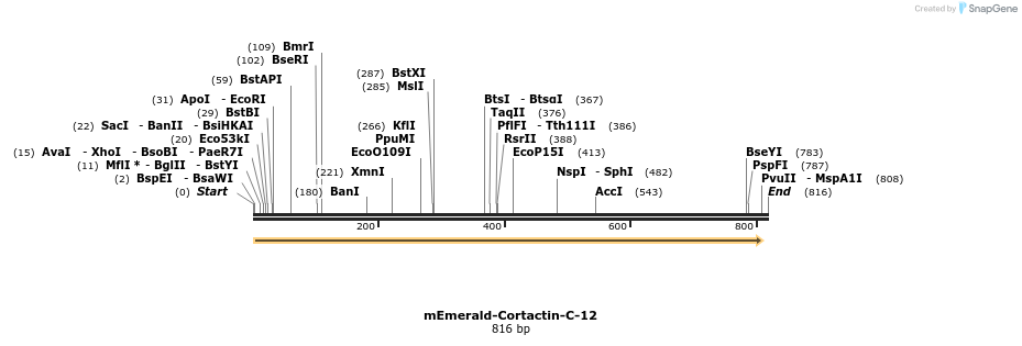 91700_map