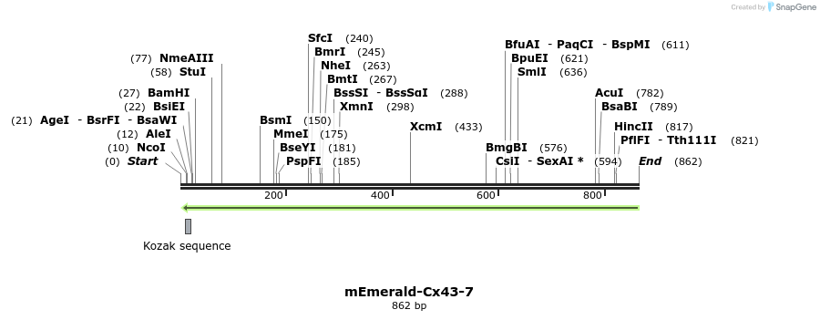 91702_map