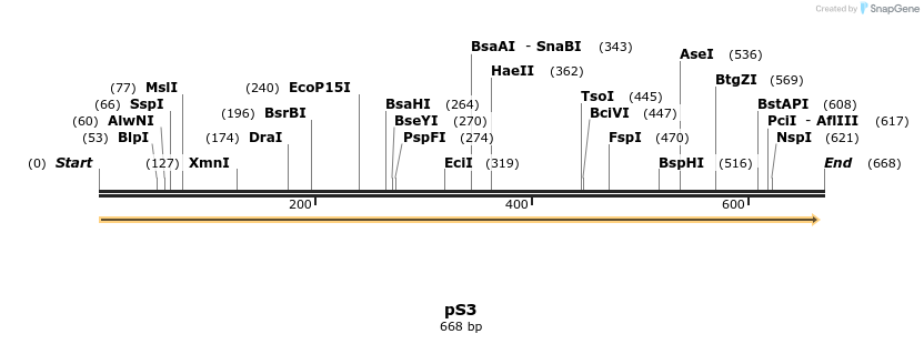 91704_map