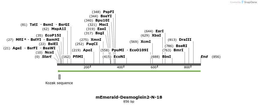 91706_map