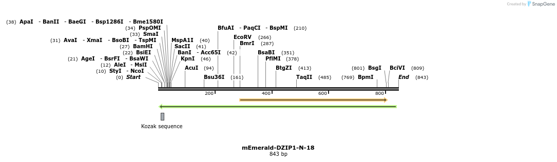 91708_map