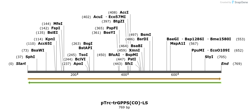 91713_map