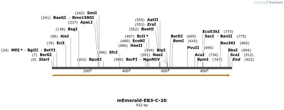 91714_map