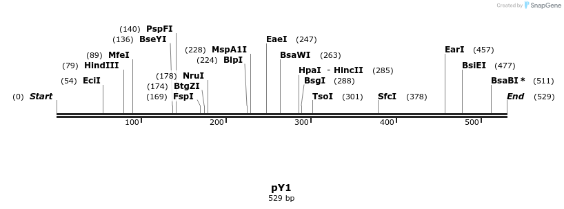 91715_map