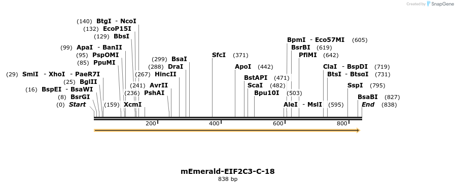 91717_map