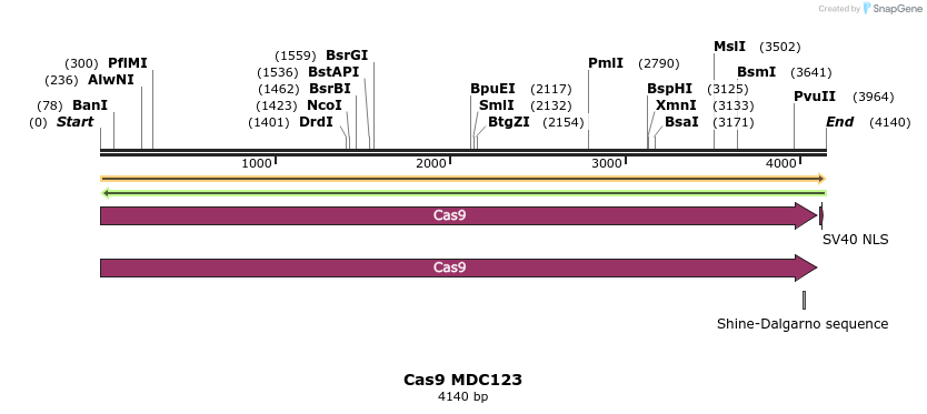 91723_map