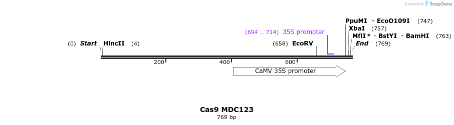 91724_map