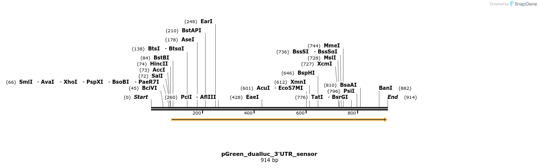 91728_map