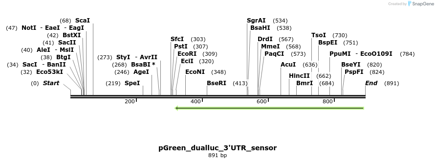 91730_map