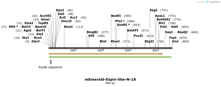 91733_map