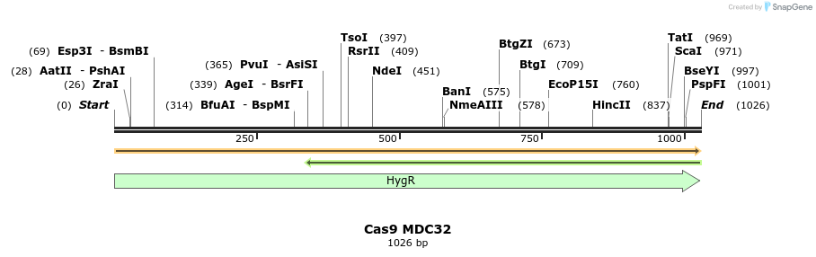 91737_map