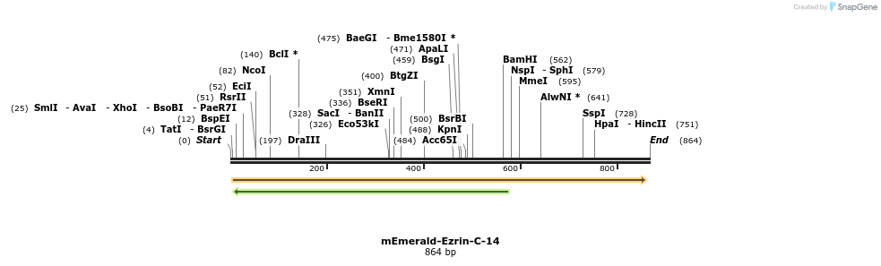 91738_map