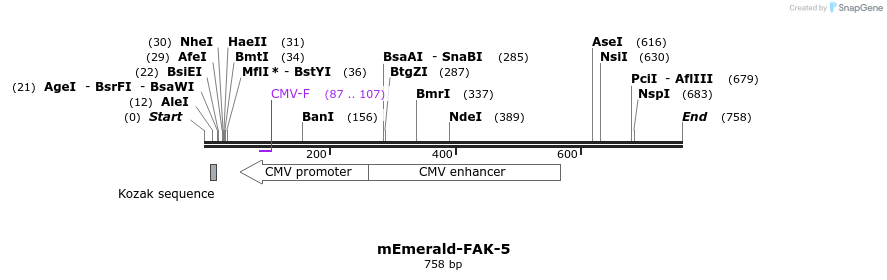 91739_map
