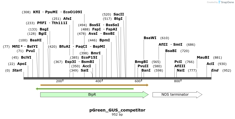 91740_map