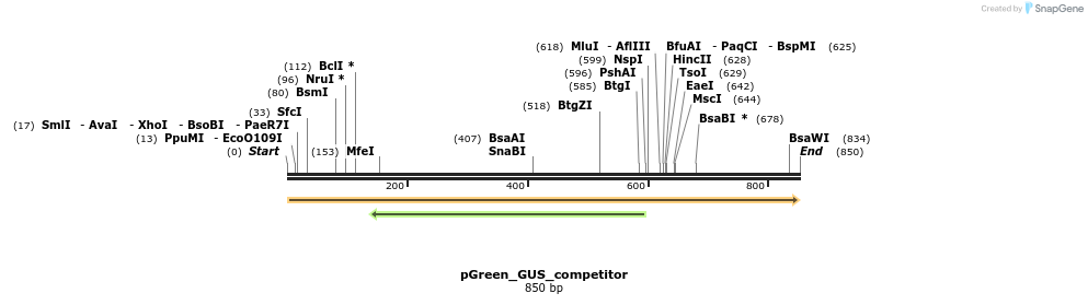 91741_map