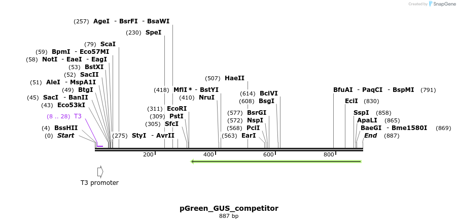 91742_map