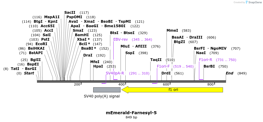 91747_map