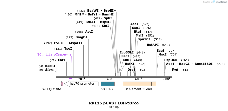 91748_map