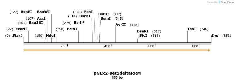 91750_map