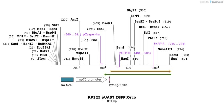 91751_map