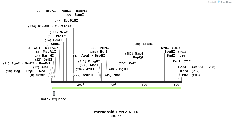 91752_map