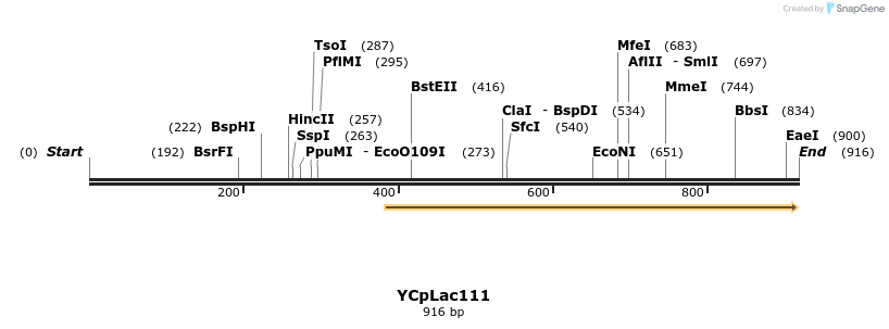 91753_map