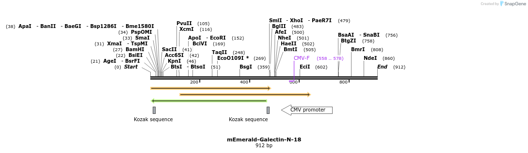 91754_map