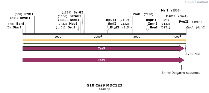 91757_map