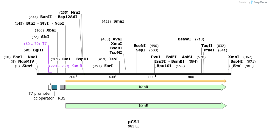 91759_map