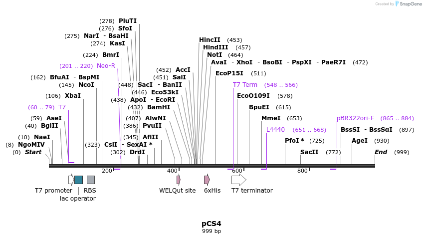 91761_map