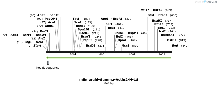 91762_map