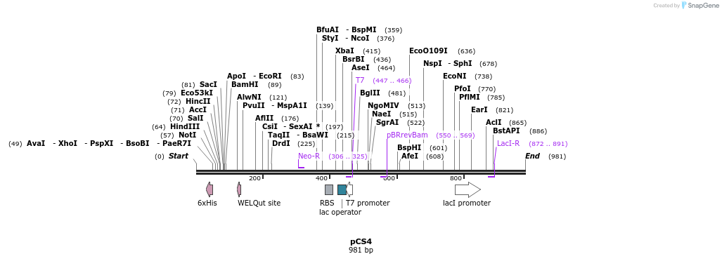 91765_map