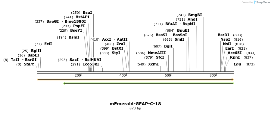 91766_map