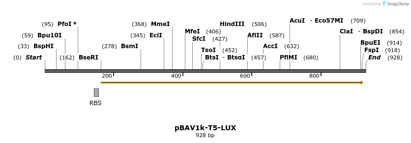 91767_map