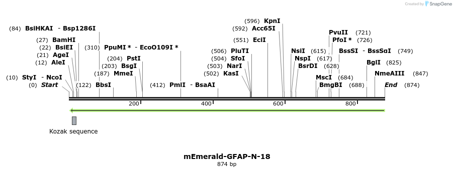 91768_map