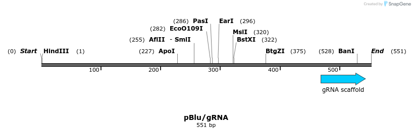 91771_map