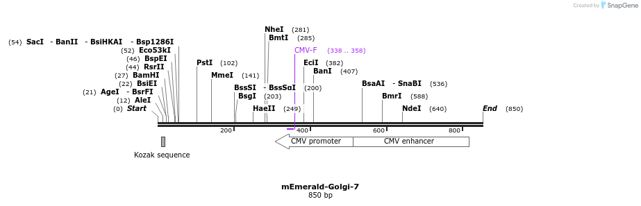 91773_map