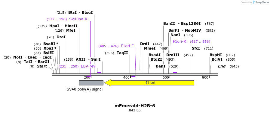 91775_map
