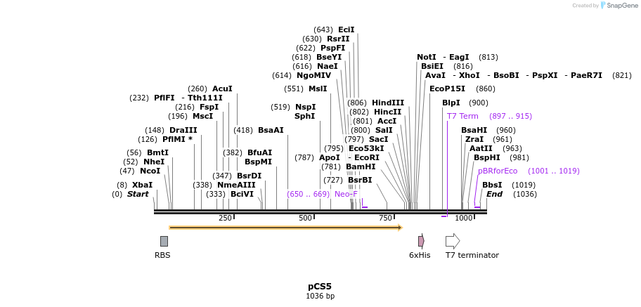 91776_map