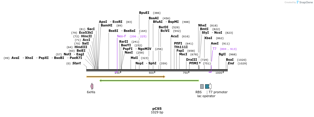91778_map