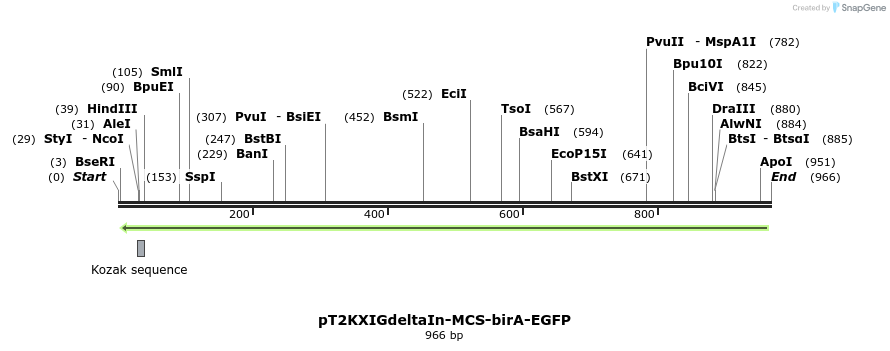 91784_map