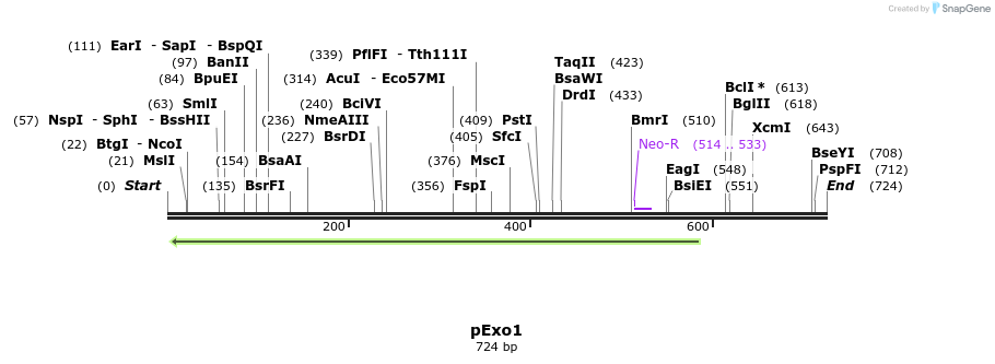 91785_map