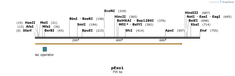 91786_map